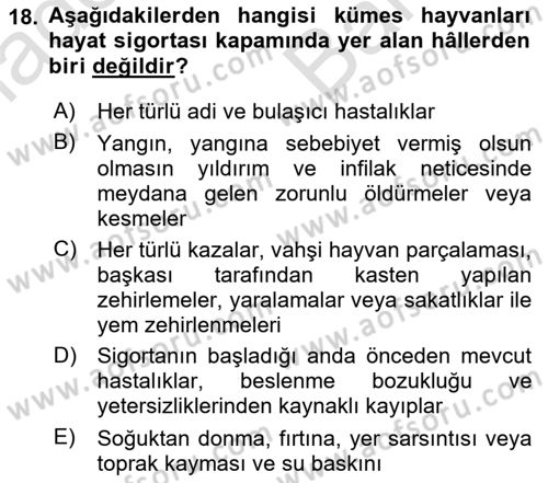 Hayat Dışı Sigortalar Dersi 2023 - 2024 Yılı (Vize) Ara Sınav Soruları 18. Soru