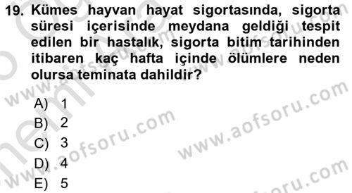 Hayat Dışı Sigortalar Dersi 2024 - 2025 Yılı (Vize) Ara Sınav Soruları 19. Soru