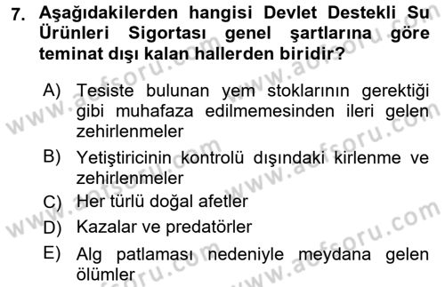 Hayat Dışı Sigortalar Dersi 2024 - 2025 Yılı Yaz Okulu Sınav Soruları 7. Soru