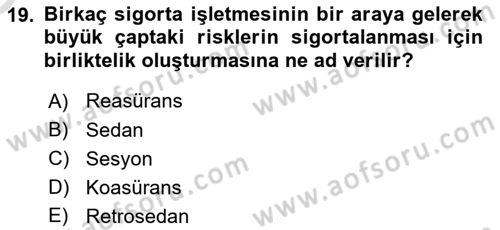 Banka ve Sigorta Muhasebesi Dersi 2023 - 2024 Yılı Yaz Okulu Sınav Soruları 19. Soru