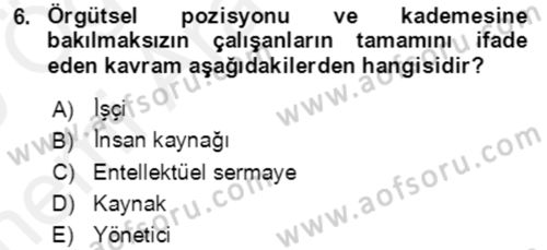Bürolarda Temel Kavramlar Dersi Ara Sınavı Deneme Sınav Soruları 6. Soru