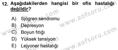 Bürolarda Temel Kavramlar Dersi 2018 - 2019 Yılı Yaz Okulu Sınav Soruları 12. Soru