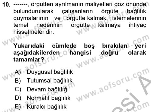 Bürolarda Temel Kavramlar Dersi 2025 - 2026 Yılı (Vize) Ara Sınav Soruları 10. Soru