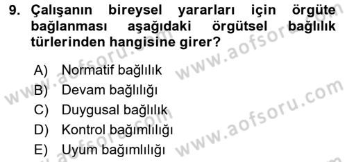 Bürolarda Temel Kavramlar Dersi 2025 - 2026 Yılı (Vize) Ara Sınav Soruları 9. Soru