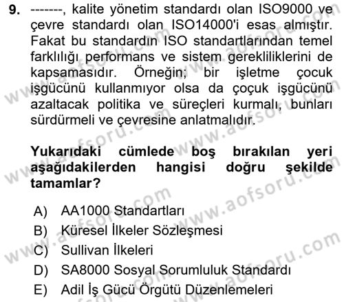 İş Hayatında Standartlar Dersi 2018 - 2019 Yılı (Final) Dönem Sonu Sınav Soruları 9. Soru