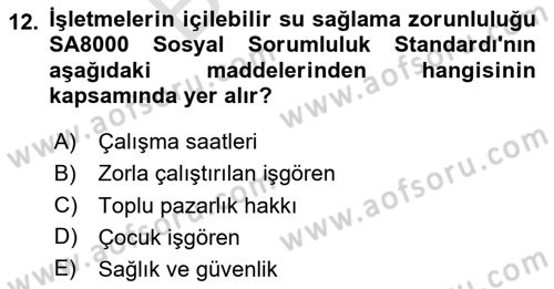 İş Hayatında Standartlar Dersi 2023 - 2024 Yılı (Final) Dönem Sonu Sınav Soruları 12. Soru