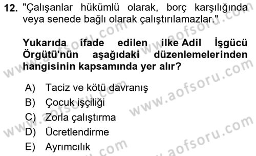 İş Hayatında Standartlar Dersi 2023 - 2024 Yılı Yaz Okulu Sınav Soruları 12. Soru