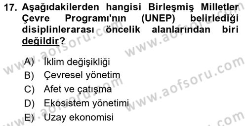 İş Hayatında Standartlar Dersi 2024 - 2025 Yılı (Vize) Ara Sınav Soruları 17. Soru