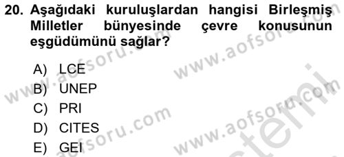 İş Hayatında Standartlar Dersi 2024 - 2025 Yılı (Vize) Ara Sınav Soruları 20. Soru
