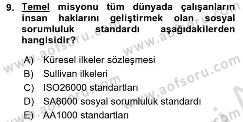 İş Hayatında Standartlar Dersi 2024 - 2025 Yılı (Final) Dönem Sonu Sınav Soruları 9. Soru