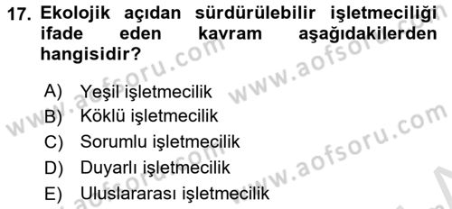 İş Hayatında Standartlar Dersi 2025 - 2026 Yılı (Vize) Ara Sınav Soruları 17. Soru