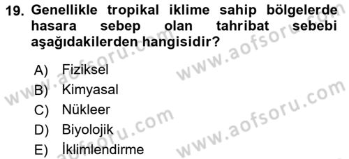 Dosyalama Arşivleme Dersi 2024 - 2025 Yılı Yaz Okulu Sınav Soruları 19. Soru