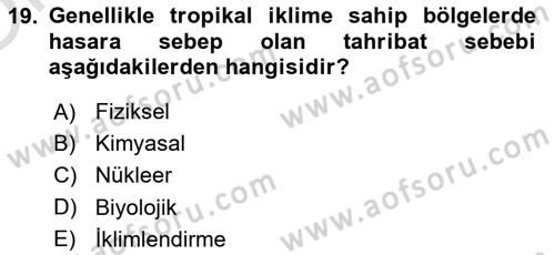 Dosyalama Arşivleme Dersi 2025 - 2026 Yılı Yaz Okulu Sınav Soruları 19. Soru