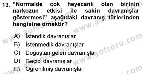 İş Ortamında Protokol Ve Davranış Kuralları Dersi 2016 - 2017 Yılı (Vize) Ara Sınav Soruları 13. Soru