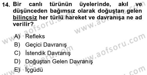 İş Ortamında Protokol Ve Davranış Kuralları Dersi 2017 - 2018 Yılı (Vize) Ara Sınav Soruları 14. Soru