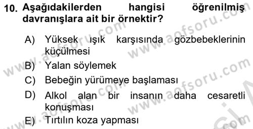 İş Ortamında Protokol Ve Davranış Kuralları Dersi 2021 - 2022 Yılı (Vize) Ara Sınav Soruları 10. Soru