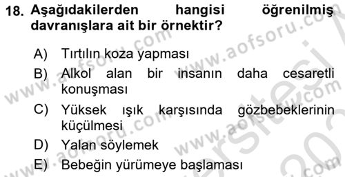 İş Ortamında Protokol Ve Davranış Kuralları Dersi 2023 - 2024 Yılı (Vize) Ara Sınav Soruları 18. Soru