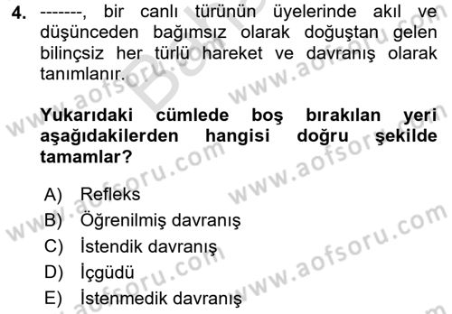 İş Ortamında Protokol Ve Davranış Kuralları Dersi 2023 - 2024 Yılı (Final) Dönem Sonu Sınav Soruları 4. Soru