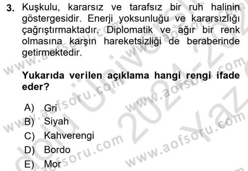İş Ortamında Protokol Ve Davranış Kuralları Dersi 2024 - 2025 Yılı Yaz Okulu Sınav Soruları 3. Soru
