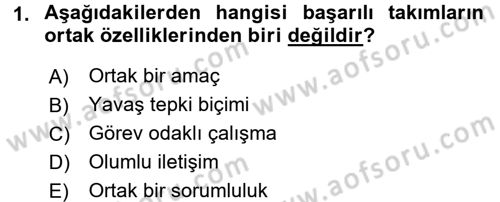 Yönetici Asistanlığı Dersi 2016 - 2017 Yılı (Final) Dönem Sonu Sınav Soruları 1. Soru