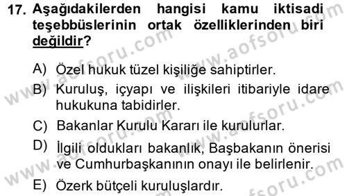 Kamu Özel Kesim Yapısı Ve İlişkileri Dersi 2013 - 2014 Yılı Tek Ders Sınavı 17. Soru