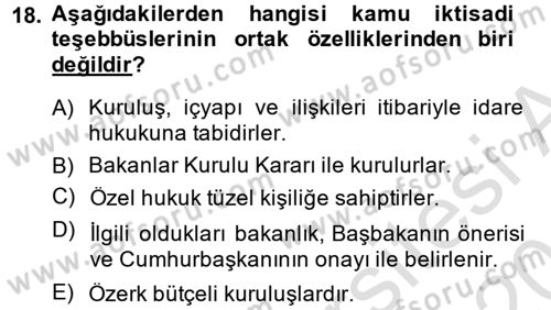 Kamu Özel Kesim Yapısı Ve İlişkileri Dersi 2014 - 2015 Yılı Tek Ders Sınavı 18. Soru