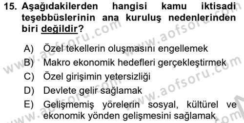 Kamu Özel Kesim Yapısı Ve İlişkileri Dersi 2016 - 2017 Yılı 3 Ders Sınavı 15. Soru