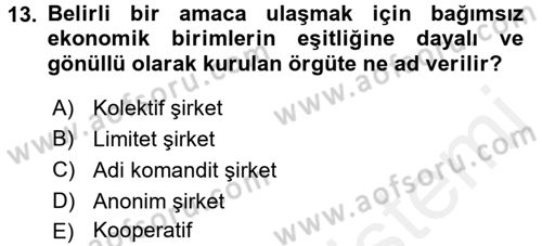 Kamu Özel Kesim Yapısı Ve İlişkileri Dersi 2017 - 2018 Yılı 3 Ders Sınavı 13. Soru