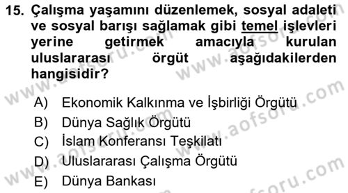 Kamu Özel Kesim Yapısı Ve İlişkileri Dersi 2018 - 2019 Yılı Yaz Okulu Sınav Soruları 15. Soru