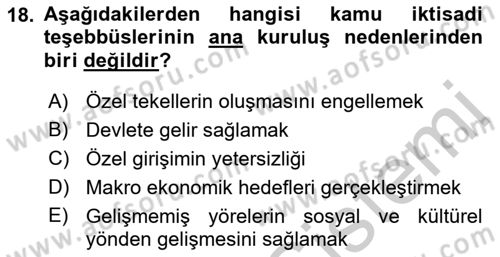 Kamu Özel Kesim Yapısı Ve İlişkileri Dersi 2018 - 2019 Yılı Yaz Okulu Sınav Soruları 18. Soru