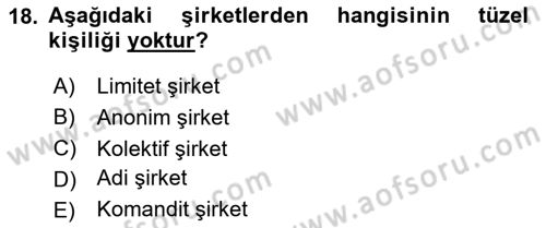 Kamu Özel Kesim Yapısı Ve İlişkileri Dersi 2023 - 2024 Yılı (Final) Dönem Sonu Sınav Soruları 18. Soru