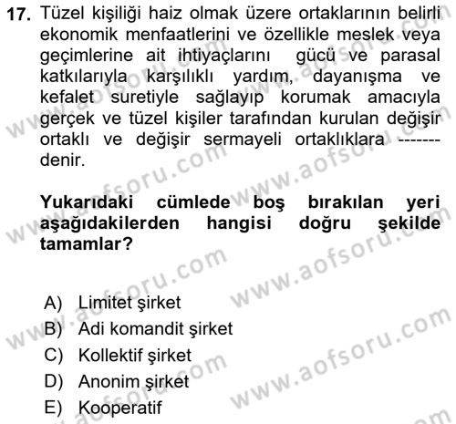 Kamu Özel Kesim Yapısı Ve İlişkileri Dersi 2024 - 2025 Yılı Yaz Okulu Sınav Soruları 17. Soru