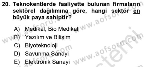 Kamu Özel Kesim Yapısı Ve İlişkileri Dersi 2024 - 2025 Yılı Yaz Okulu Sınav Soruları 20. Soru