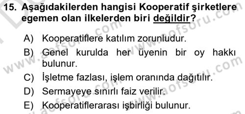Kamu Özel Kesim Yapısı Ve İlişkileri Dersi 2025 - 2026 Yılı (Final) Dönem Sonu Sınav Soruları 15. Soru