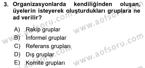 Ekip Yönetimi ve Liderlik Dersi 2021 - 2022 Yılı (Vize) Ara Sınav Soruları 3. Soru