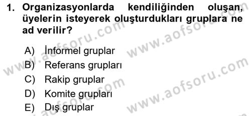 Ekip Yönetimi ve Liderlik Dersi 2021 - 2022 Yılı Yaz Okulu Sınav Soruları 1. Soru