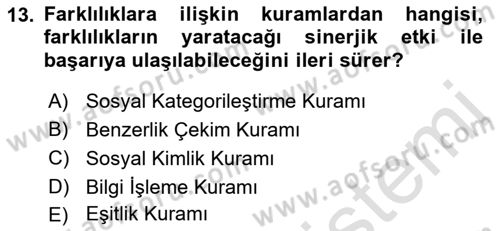 Ekip Yönetimi ve Liderlik Dersi 2022 - 2023 Yılı Yaz Okulu Sınav Soruları 13. Soru
