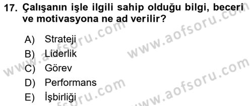 Ekip Yönetimi ve Liderlik Dersi 2022 - 2023 Yılı Yaz Okulu Sınav Soruları 17. Soru