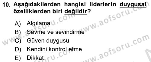 Ekip Yönetimi ve Liderlik Dersi 2023 - 2024 Yılı (Vize) Ara Sınav Soruları 10. Soru