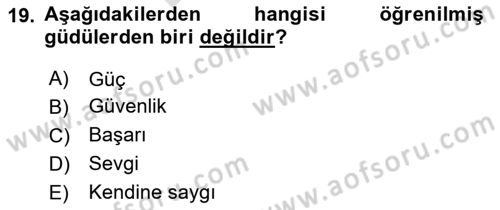 Ekip Yönetimi ve Liderlik Dersi 2023 - 2024 Yılı (Final) Dönem Sonu Sınav Soruları 19. Soru