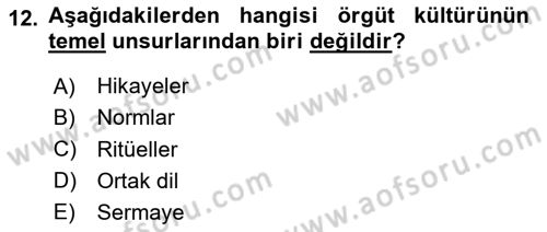 Ekip Yönetimi ve Liderlik Dersi 2023 - 2024 Yılı Yaz Okulu Sınav Soruları 12. Soru