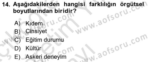 Ekip Yönetimi ve Liderlik Dersi 2023 - 2024 Yılı Yaz Okulu Sınav Soruları 14. Soru