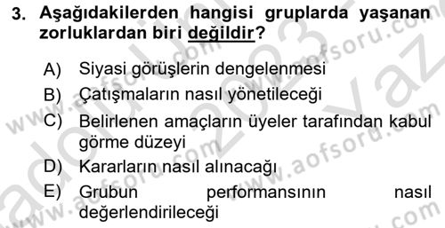 Ekip Yönetimi ve Liderlik Dersi 2023 - 2024 Yılı Yaz Okulu Sınav Soruları 3. Soru