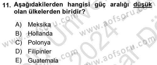 Ekip Yönetimi ve Liderlik Dersi 2024 - 2025 Yılı (Vize) Ara Sınav Soruları 11. Soru