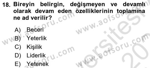 Ekip Yönetimi ve Liderlik Dersi 2024 - 2025 Yılı (Vize) Ara Sınav Soruları 18. Soru