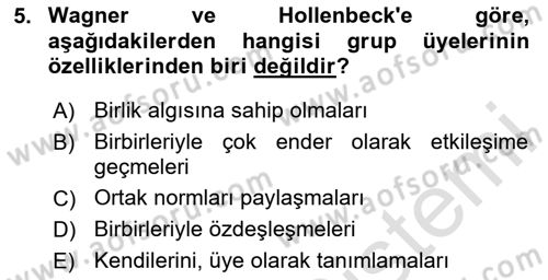 Ekip Yönetimi ve Liderlik Dersi 2024 - 2025 Yılı (Vize) Ara Sınav Soruları 5. Soru