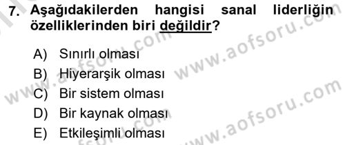 Ekip Yönetimi ve Liderlik Dersi 2024 - 2025 Yılı (Vize) Ara Sınav Soruları 7. Soru