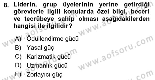 Ekip Yönetimi ve Liderlik Dersi 2024 - 2025 Yılı (Vize) Ara Sınav Soruları 8. Soru