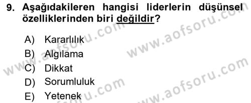 Ekip Yönetimi ve Liderlik Dersi 2024 - 2025 Yılı (Vize) Ara Sınav Soruları 9. Soru