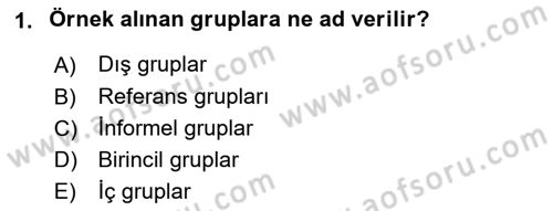 Ekip Yönetimi ve Liderlik Dersi 2024 - 2025 Yılı (Final) Dönem Sonu Sınav Soruları 1. Soru